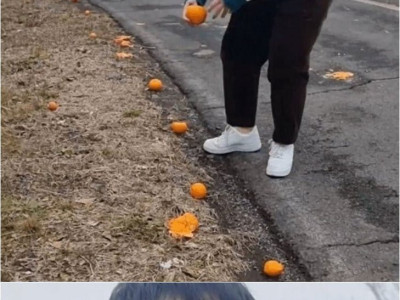 제주도민이 귤을 사먹는다는 의미