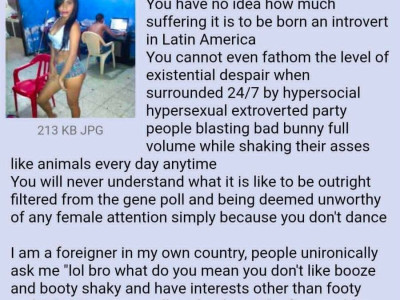 내향적 성격의 남미인의 절규