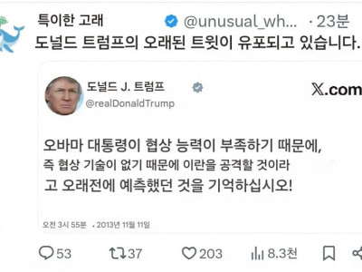 이번 이란 공격으로 과거 트럼프가 했던 발언 재발굴중