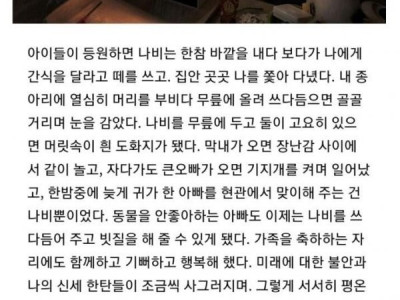 자폐 아들과 마법고양이