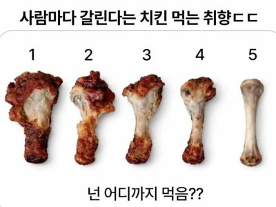 사람마다 갈린다는 치킨 먹는 취향