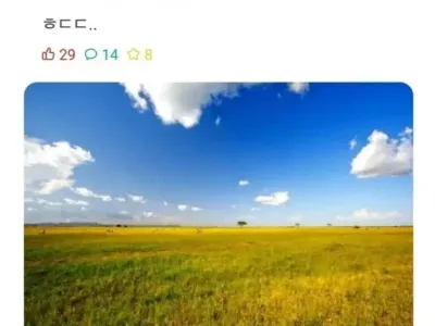 사자의 위장능력