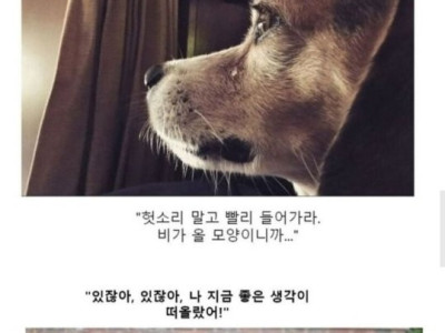 소년만화 클리셰 모음