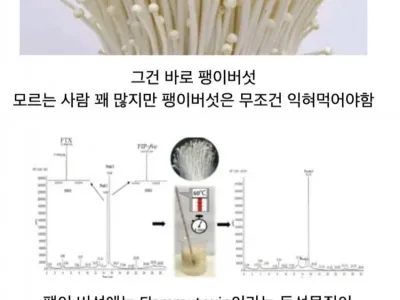 생으로 먹으면 위험한 버섯.jpg