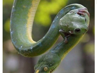 소년만화 클리셰 모음.jpg