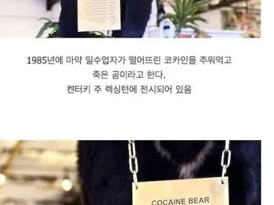 코카인 40kg를 주워먹은 곰의 최후 ㄷㄷ.jpg