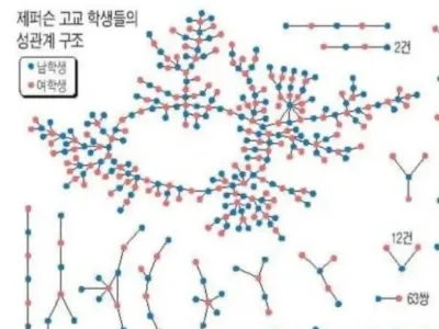 미국 고등학교 성관계 실태조사 jpg