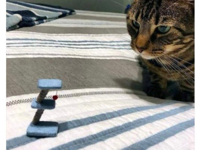 테뮤산 캣 타워