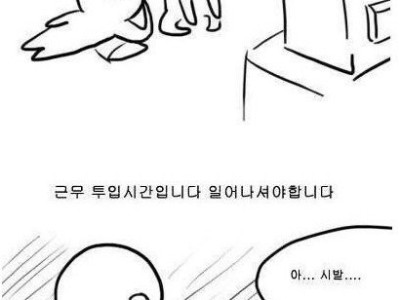군인들의 공통 언어.manhwa