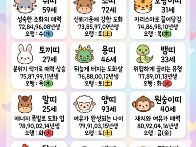 띠별 도화살 터지는 나이