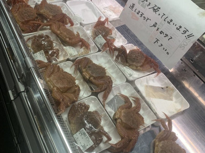 신선하지 않으면 100% 환불