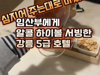 임산부라 무알콜 주문했는데 알콜하이볼 준 5성급 호텔