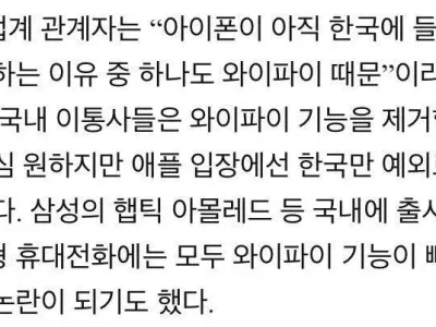 아이폰이 없는 멀티버스 평행 대한민국