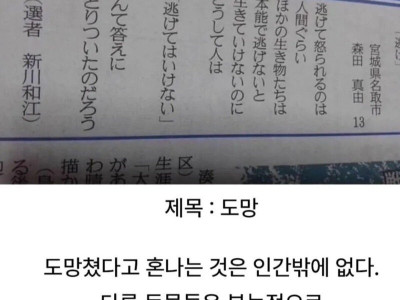 13살 일본아이가 쓴글.jpg