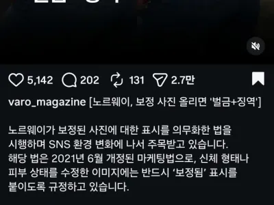 노루웨이 보정 사진 올리면 징역