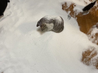 사고 쳐 놓고 불쌍한 척 하고 있네