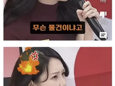 한국인들 일본와서 사재기좀 그만하라는 스시녀