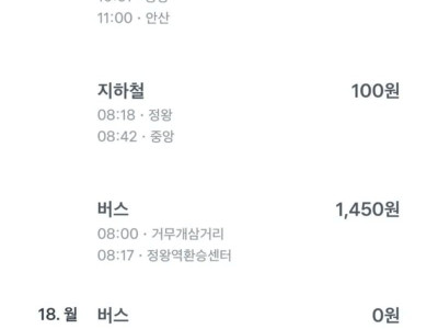 카드 주워서 쓰고 다닌 아줌마 참교육한 썰.jpg