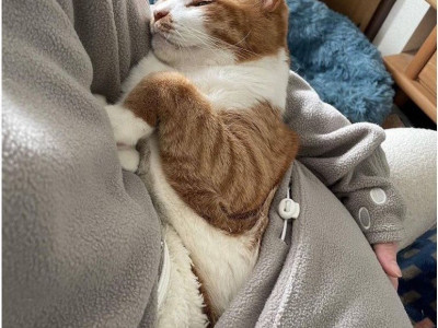 부모님 사이가 좋았던게 독이됐네