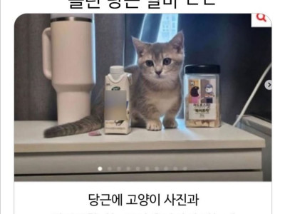 지원자 600명 몰린 당근알바