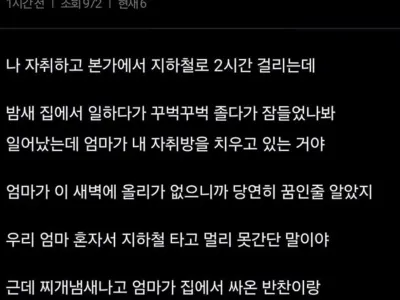 꿈속에서 10살도 안된 자식이 나와 첫차타고 달려온 엄마