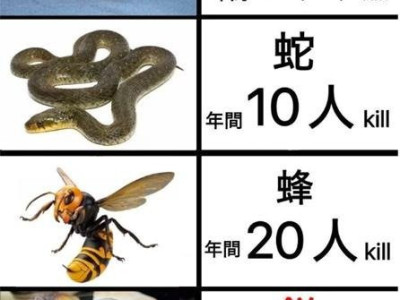 일본인의 사고사 원인