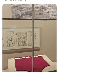 중국에서 국보 취급받는 수영복