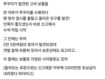고려청자 찾아 준 주꾸미