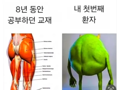 의대에서 공부한 것 vs 실제 환자