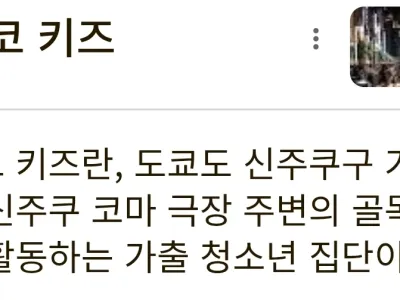 11살의 토요코키즈