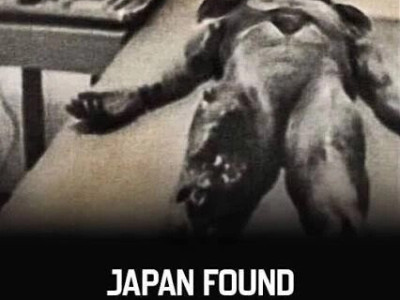 처음으로 일본에서 발견된 외계인