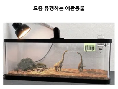 요즘 유행하는 애완동물