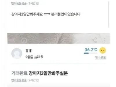 당근 반려견 레전드