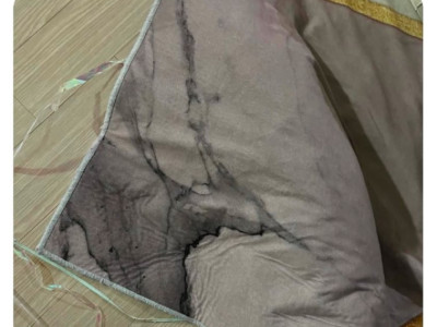 모르는 사람 와서 숨었는데 살짝 덜 숨은 냥이