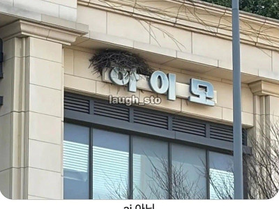 남진 : 너 빈자리 채워 주고 싶어