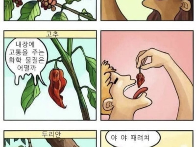 인간이란