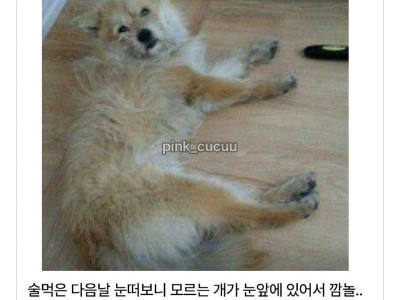 술 취해서 아무나 집에 데려오네