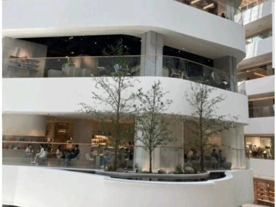 주제주의) 여의도 더 현대 왔다가 충격먹은 직장인