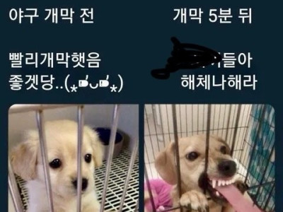 KBO 여성팬이 말하는 개막 전후 변화