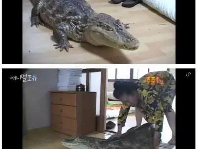 광기 가득한 90년대 시절ㅋㅋㅋㅋ