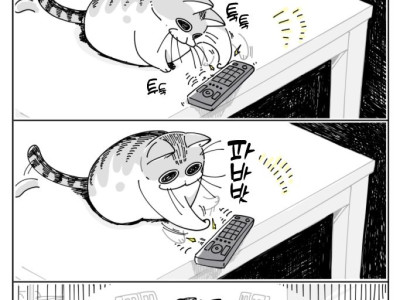 약스압) 평생 초보 집사.manhwa