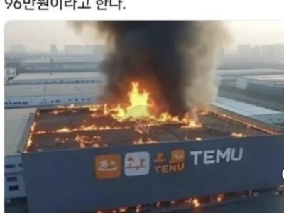 안타까워 해야 하나