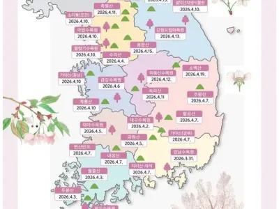 올해 벚꽃 개화 예상날짜