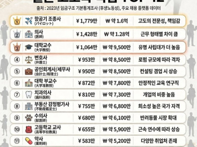 일본의 고소득 직업 TOP12