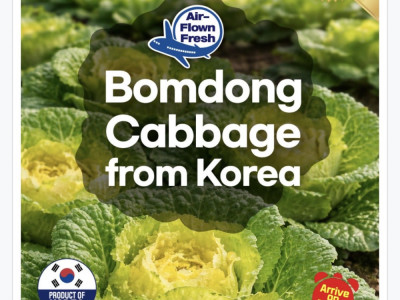 하다하다 캐나다에까지 봄동 유행 퍼지는중