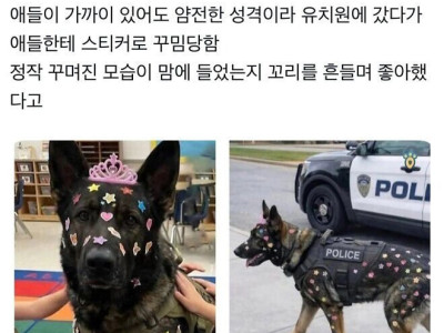 유치원 체험행사에 간 경찰견