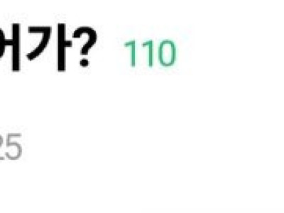 이게 진짜 들어가?