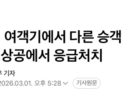 여객기에서 다른 승객 머리 폭행