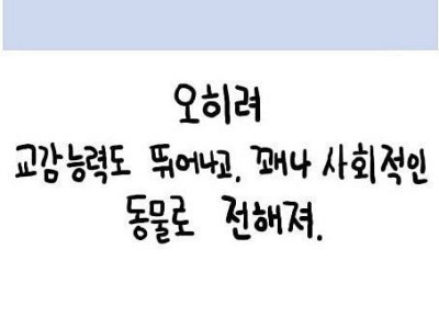 향유고래의 가치에 대해 알아보자.manhwa