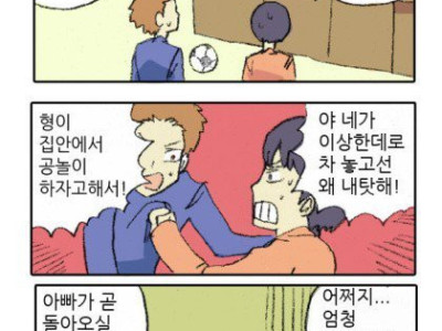 훈훈한 형제 작전